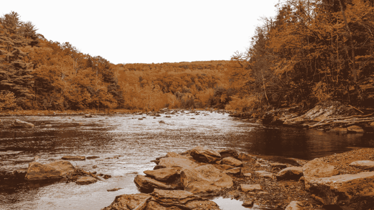 A serene river flows through a forest with vibrant autumn foliage in warm hues of orange and brown, creating a peaceful and picturesque landscape.