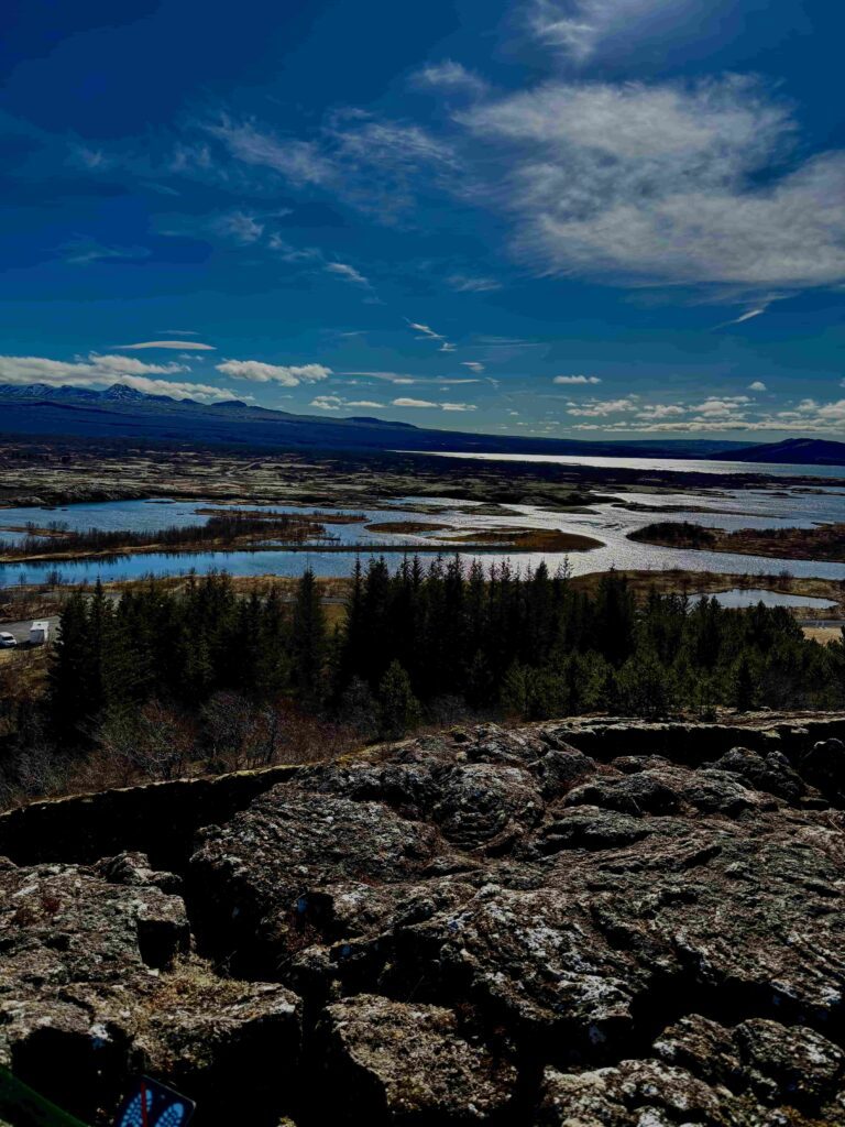 Dramatic landscape view of Þingvellir (Thingvellir) National Park, Iceland. Expansive view from elevated rocky volcanic outcrop overlooking winding river system cutting through golden-brown terrain. Multiple interconnected lakes and waterways create intricate patterns across the landscape. Dense evergreen forest in middle distance. Snow-capped mountain range visible on distant horizon. Vivid blue sky with wispy white clouds above. Dark textured volcanic rock formations in foreground. UNESCO World Heritage Site showcasing Iceland's raw geological beauty and historical significance as the site of Iceland's ancient parliament.